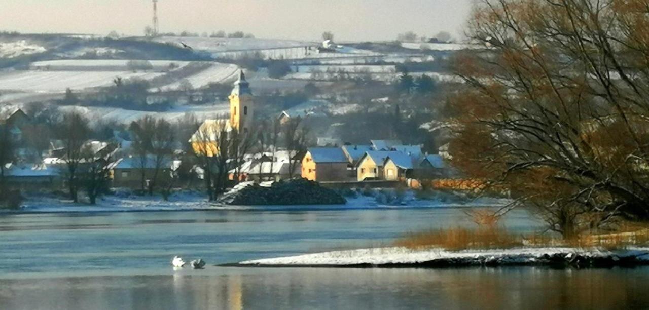 Danube Fairy Villa Futog Exterior foto