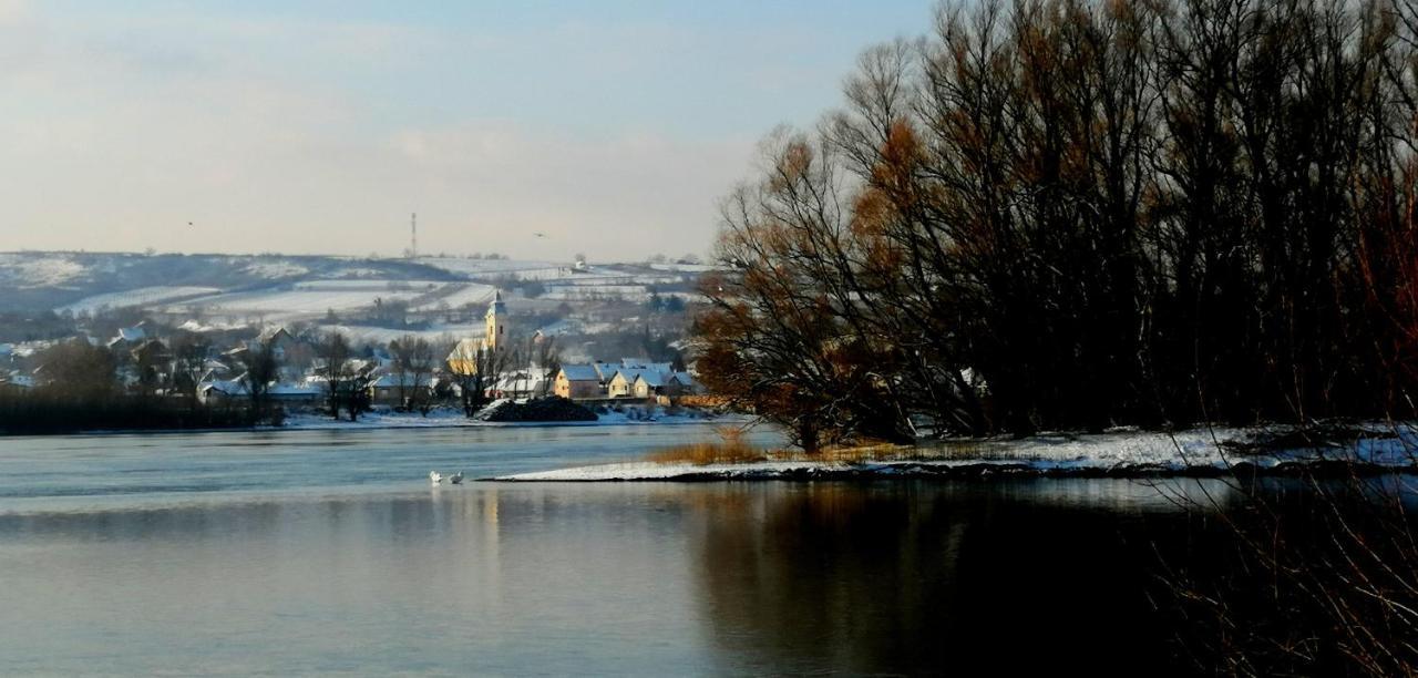 Danube Fairy Villa Futog Exterior foto