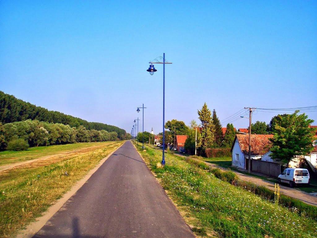 Danube Fairy Villa Futog Exterior foto