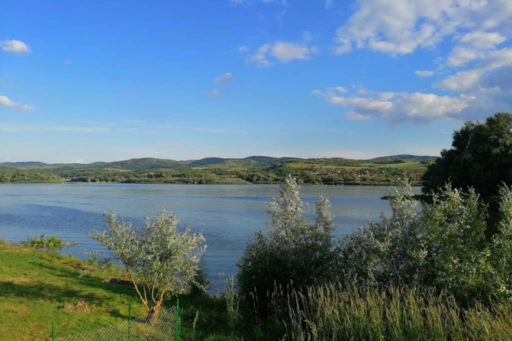 Danube Fairy Villa Futog Exterior foto