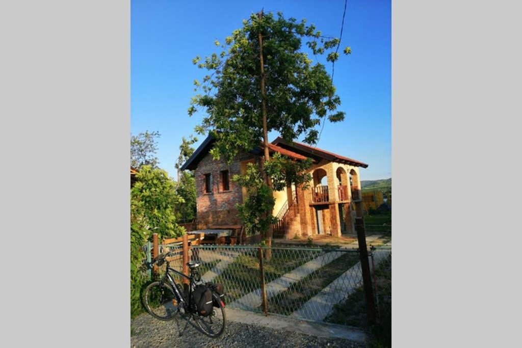 Danube Fairy Villa Futog Exterior foto
