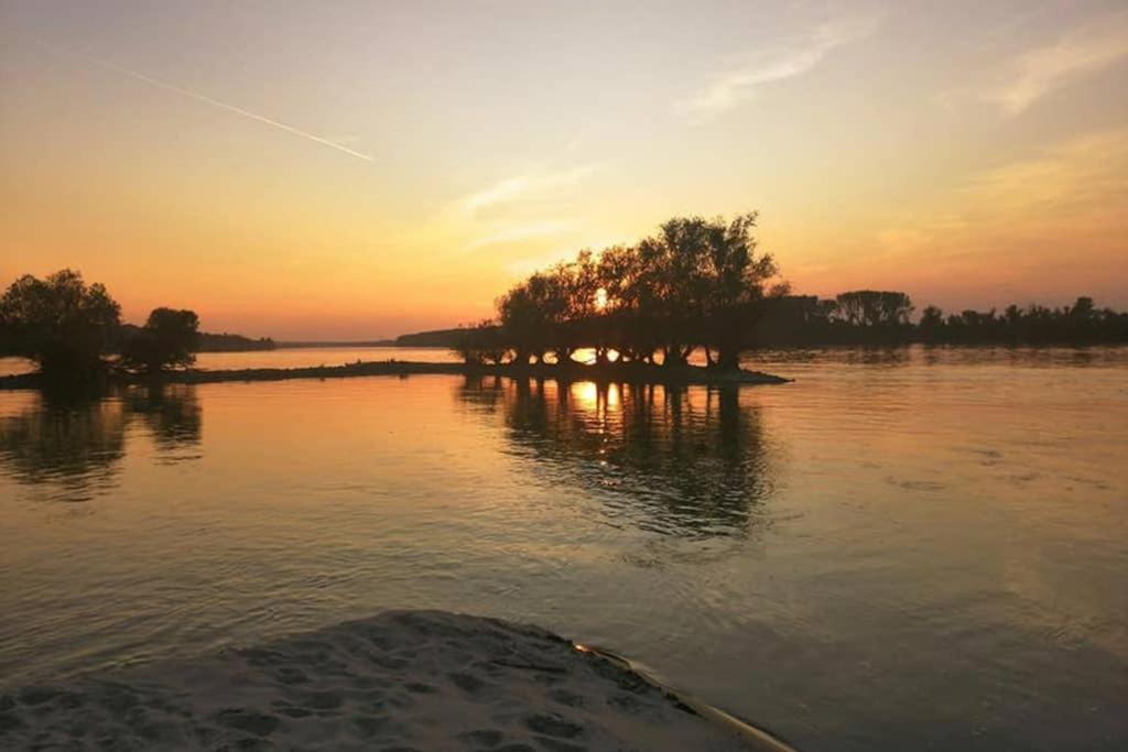 Danube Fairy Villa Futog Exterior foto